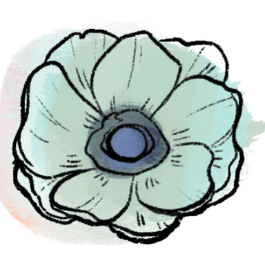 anemone